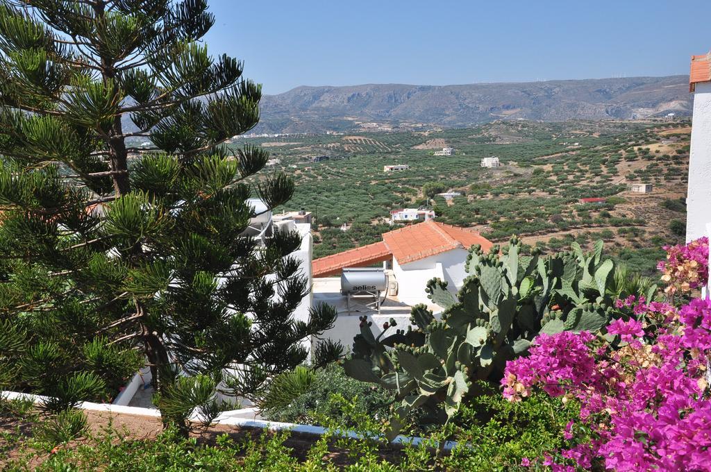 Castri Village Hotel Palekastro Exterior foto